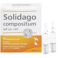 Produktbild: Solidago compositum vet. Ampullen 10 St.