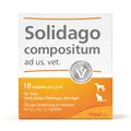 Produktbild: Solidago compositum ad us. vet. Ampullen