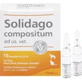 Produktbild: SOLIDAGO COMPOSITUM ad us.vet.Ampullen 10 St PZN 1219864