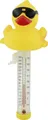 Produktbild: Steinbach Schwimmthermometer Duck gelb