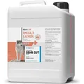 Produktbild: REAVET Lachsöl Hunde, Pferde 5-Liter-Kanister - Reich an Omega 3 & 6, Fischöl Hund 5L I Echte Lebensmittelqualität ohne Zusätze I Frisch abgef...