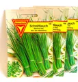 Produktbild: FRANKONIA Schnittlauch, Medium Leaf - Kräuter-Samen Gewürz Saatgut Schnittlauch-Samen (Allium schoenoprasum)