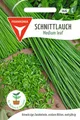 Produktbild: Schnittlauch, Medium Leaf - Kräuter-Samen Gewürz Saatgut Schnittlauch-Samen