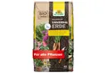 Produktbild: Neudorff Bio-Erde NeudoHum UniversalErde, mit Organischer Dünger, (Torffreie Bio Erde, für Zimmer-, Balkon-, Terrassen- und Gartenpflanzen), für 4 Wochen vorgedüngt