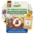 Produktbild: SF Nematoden gegen Erdflöhe -2 Mio. für 4m2 – Mittel gegen Erdflöhe im Haus & Garten, Effektive Erdfloh Bekämpfung, Biologisch Erdfloh bekä...