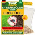 Produktbild: GREEN GUARDIA Super SF-Nematoden gegen Erdflöhe – 2 Mio. für 4m² - Biologisches Mittel zur effektiven Ameisen Bekämpfung – Umweltfreundlich, chemiefrei, einfache Anwendung