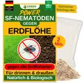 Produktbild: SF Nematoden gegen Erdflöhe 2 Mio. für 4m²– Effektiv Erdflöhe bekämpfen