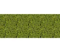 Produktbild: Heki 1550 Belaubungsvlies hellgrün 28x14 cm für Modellbau Spurweite N