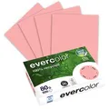 Produktbild: Clairefontaine Kopierpapier Evercolor, 2100005033, A4, Recycling, 80g/qm, rosa, 500 Blatt
