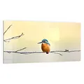 Produktbild: DEQORI Küchenrückwand Glas | Motiv Königsfischer auf Zweig | 100x50 cm | Bad- oder Herd-Rückwand | Herdblende Spritzschutz für Küche & Badezimmer | moderne Deko für Fliesenspiegel