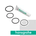 Produktbild: hansgrohe Dichtungsset - 95037000