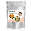 Produktbild: Gino Gelati Joghurt Orange Speiseeis Pulver10 Kg, verschiedene Sorten, für Eismaschinen, Eis selber herstellen, Made in Germany, schnelle und einfache Zubereitung