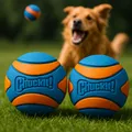 Produktbild: Chuckit! Ultra Squeaker Ball M 6 cm – 2er Set | Schwimmt | Quietscht | Robust 🟠