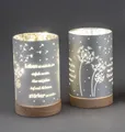 Produktbild: 2er Set LED Tischlampen Pusteblumen mit Spruch H. 15cm silber Formano