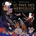 Produktbild: Le pays des merveilles: Carnet fantastique  livre ... | Buch | Zustand sehr gut