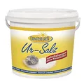 Produktbild: (2,33 EUR/kg) 12kg ERNTESEGEN Ur-Salz naturbelassen & unbehandelt, im Eimer