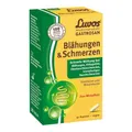 Produktbild: LUVOS Gastrosan Blähungen & Schmerzen Kapseln 30 St