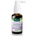 Produktbild: Kneipp Ashwagandha Mundspray zur Unterstützung der Nerventätigkeit 30 ml