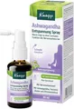 Produktbild: Kneipp GmbH Kneipp Ashwagandha Entspannung Spray 30 ml - 30 ml Spray 19303654