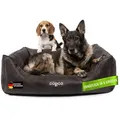 Produktbild: CopcoPet Tierbett Emma Orthopädisch Hundebett schwarz 60 cm x 80 cm