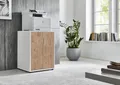 Produktbild: Druckerschrank Office Edition mit 2 Türen, 2 Einlegeböden, Büromöbel, 74 cm Höhe (Weiß/Gold Harbor Oak)