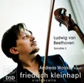 Produktbild: Ludwig van Beethoven Ludwig Van Beethoven: Sonatas - Volume 2 (CD) (US IMPORT)