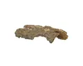 Produktbild: HOBBY Aquariendeko Bark Cave S, 19x5x8 cm