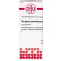 Produktbild: SYZYGIUM JAMBOLANUM D 10 Globuli 10 g