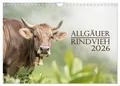 Produktbild: Allgäuer Rindvieh 2026 (Wandkalender 2026 DIN A4 quer), CALVENDO Monatskalender