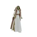 Produktbild: Star Wars: The Acolyte Black Series Actionfigur Jedi Master Vernestra Rwoh 15 cm