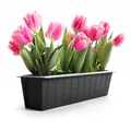 Produktbild: BigDean 4 Stück Paletten Blumenkästen Einsatz in Anthrazit – Pflanzkasten zum Bepflanzen & Dekorieren – Balkonkasten für Kräuter, Blumen & Pflanzen – UV-Stabiler & wetterbeständiger Kunststoff