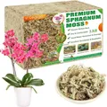 Produktbild: Sphagnummoos Orchideenwach Blumenerde
