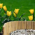 Produktbild: Windhager Beetumrandung aus Bambus für Blumen- und Gemüsebeete, flexible Beeteinfassung, LxH: 100x35 cm, Abgrenzung für runde und eckige Flächen, 100 x 35 cm