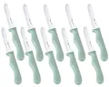 Produktbild: 10er SET METALTEX 248132030 CHROMOTHERAPY Basic Brotzeitmesser 21,5 cm - grün