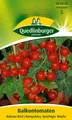 Produktbild: Quedlinburger 480442 Balkon Tomate Balconi Red (Tomatensamen)