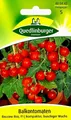 Produktbild: Balkontomate Balconi Red, F1 - Buschtomate, kompakter Wuchs - Tomaten Samen
