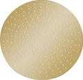 Produktbild: vidaXL Regenbrause Edelstahl 50 cm Rund Golden