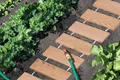 Produktbild: WOODTEX | 2 Pack | Lärche Natur, 200x45 cm, Rollweg Gartenweg, Rollrasen Ersatz, Wurzelvlies, Unkrautvlies, Rasengitter, verrottungsfest, einfach verlegbar