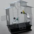 Produktbild: Vogelkäfig,Wellensittichkäfig,Exotenkäfig,60 cm Vogelkäfig Vogelbauer Wellensittich Kanarien Voliere Vogelhaus Käfig IZA 2 II schwarz