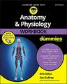 Produktbild: Anatomy & Physiology Workbook For Dummies with Online Practice, 3rd Edition