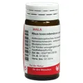 Produktbild: RHUS TOXICODENDRON COMP Globuli 20 g