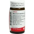 Produktbild: Rhus Toxicodendron Comp 20 G