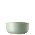 Produktbild: Thomas Nature Leaf Schüssel 24 cm Grün