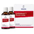 Produktbild: Cardiodoron/aurum compositus Dilution