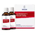 Produktbild: Cardiodoron/aurum Comp.dilution 2X50 ml