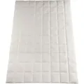 Produktbild: Häussling Daunenliebling Dauneneinziehdecke all season, wollweiß, 155x220 cm