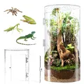 Produktbild: Zylindrischer Terrarium, Vivarium, Acryl Terrarium Schnecken  360° Panorama R...