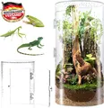 Produktbild: Zylindrisches Terrarium für Reptilien und Insekten 29 cm hoch, Acryl Sichtfenste