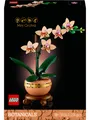 Produktbild: LEGO Botanicals 10343 Mini-Orchidee