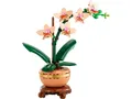 Produktbild: LEGO® Botanicals 10343 Mini-Orchidee